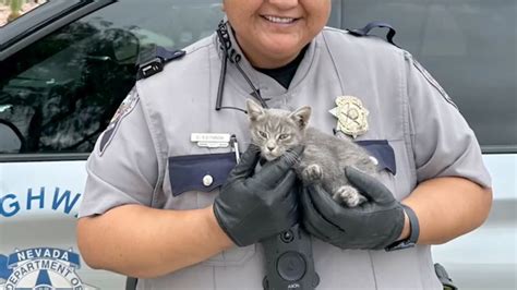 Kitten rescued by trooper on Las Vegas highway